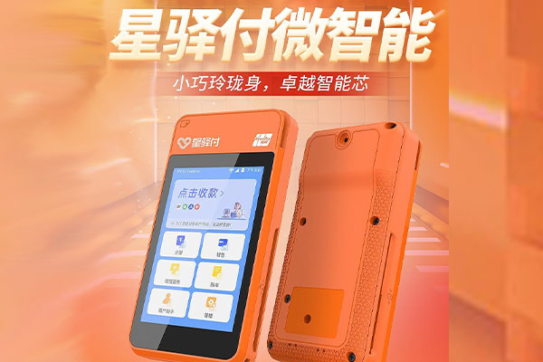 雁江国通微电签POS机